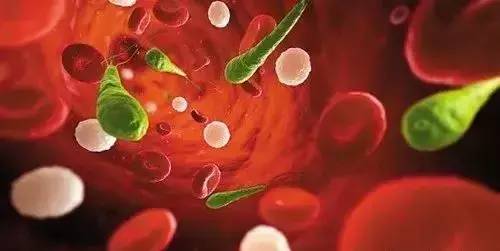 苹果的神仙吃法100种不用煮不用炸,苹果煮着吃有哪些方法