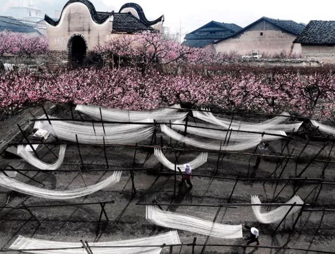 宁德地区国字号,宁德有哪些地方有国字号