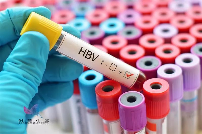 网红带火“净血美容”，5万一次能“防癌”？真相是……