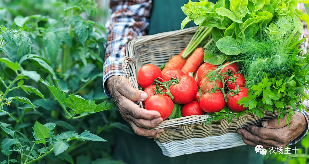 在狂投2.2亿之后,他终于想明白一件事……