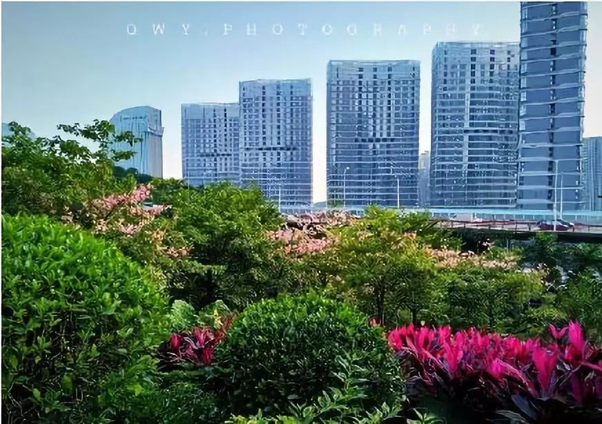 @所有人,2号线又有新进展!这条霸屏的网红线路,居然有这么多好玩的~