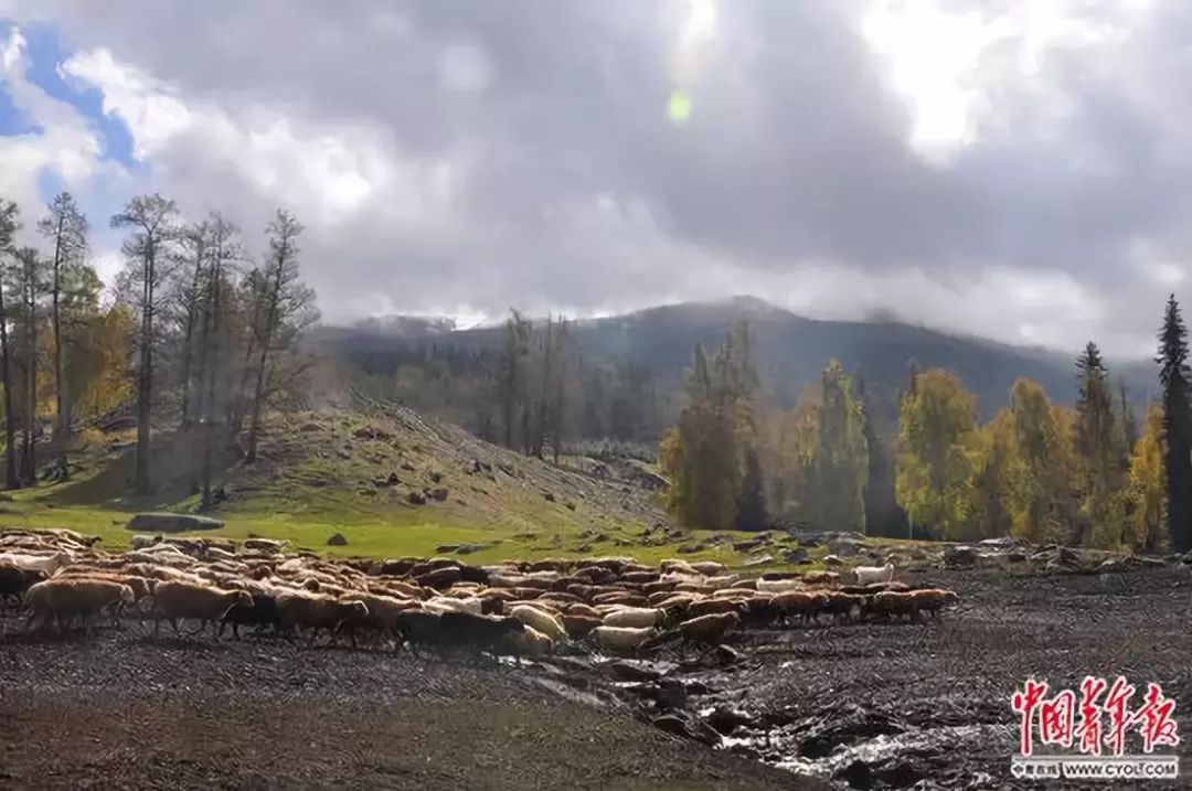 青年支教老师视频,阿勒泰支教老师长文刷屏朋友圈