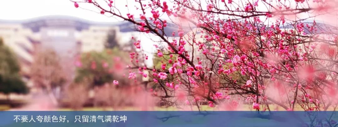 江汉大学足球单招录取综合分2019,江汉大学高水平运动队招生简章