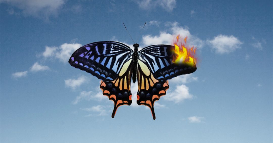 海底捞到底是成功还是失败,海底捞目前存在的缺点