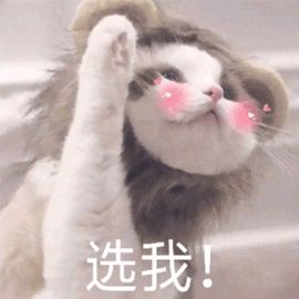 今年夏天流行穿搭推荐,买的最满意的四件套