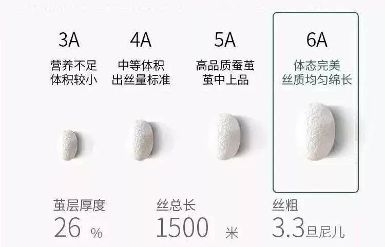 蚕丝裤100%桑蚕丝内穿,冬天穿的蚕丝裤