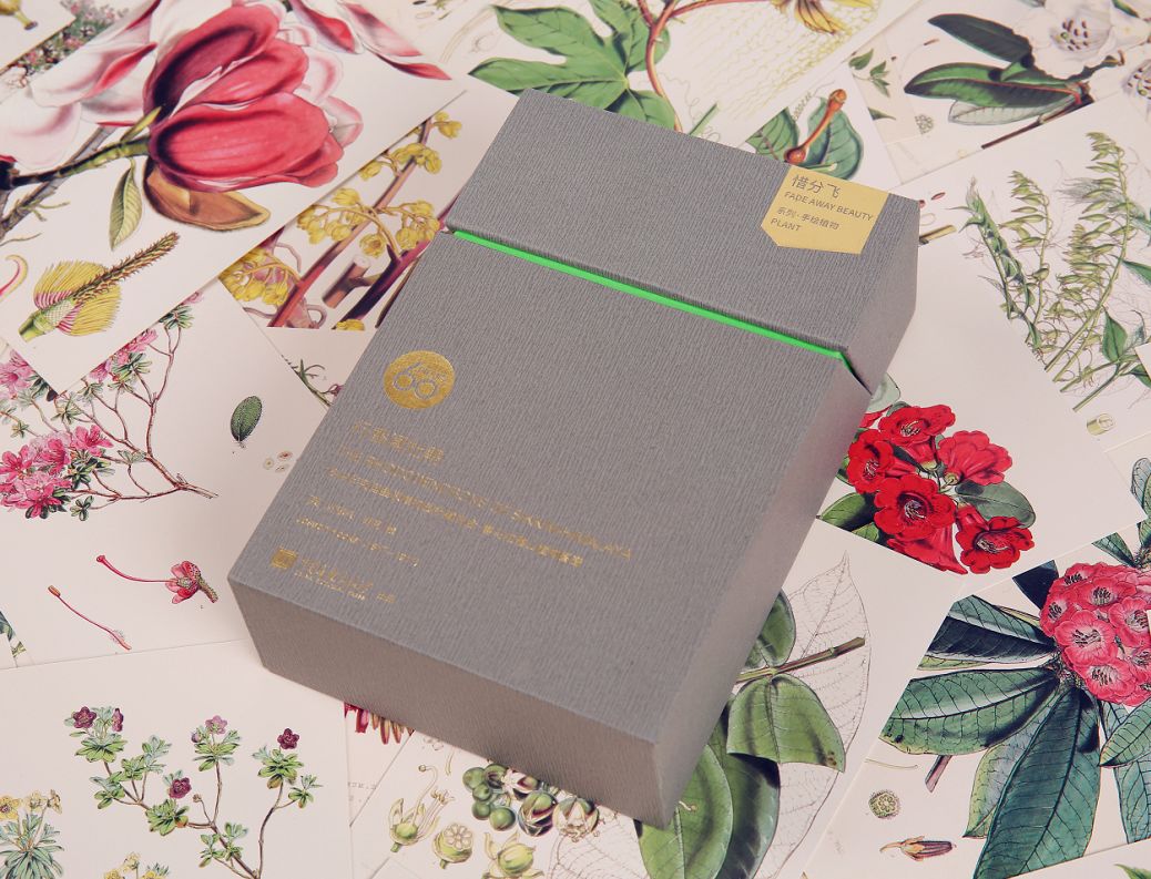 去喜马拉雅山采集杜鹃花，这个英国人有多疯狂？