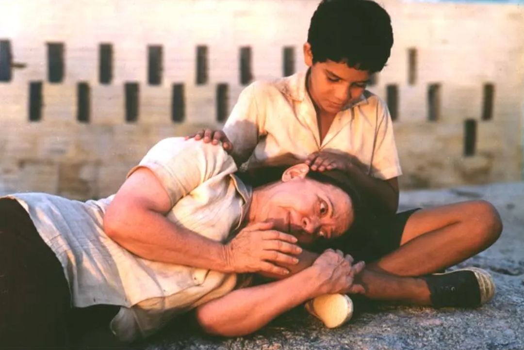 从那以后我就不信奥斯卡了