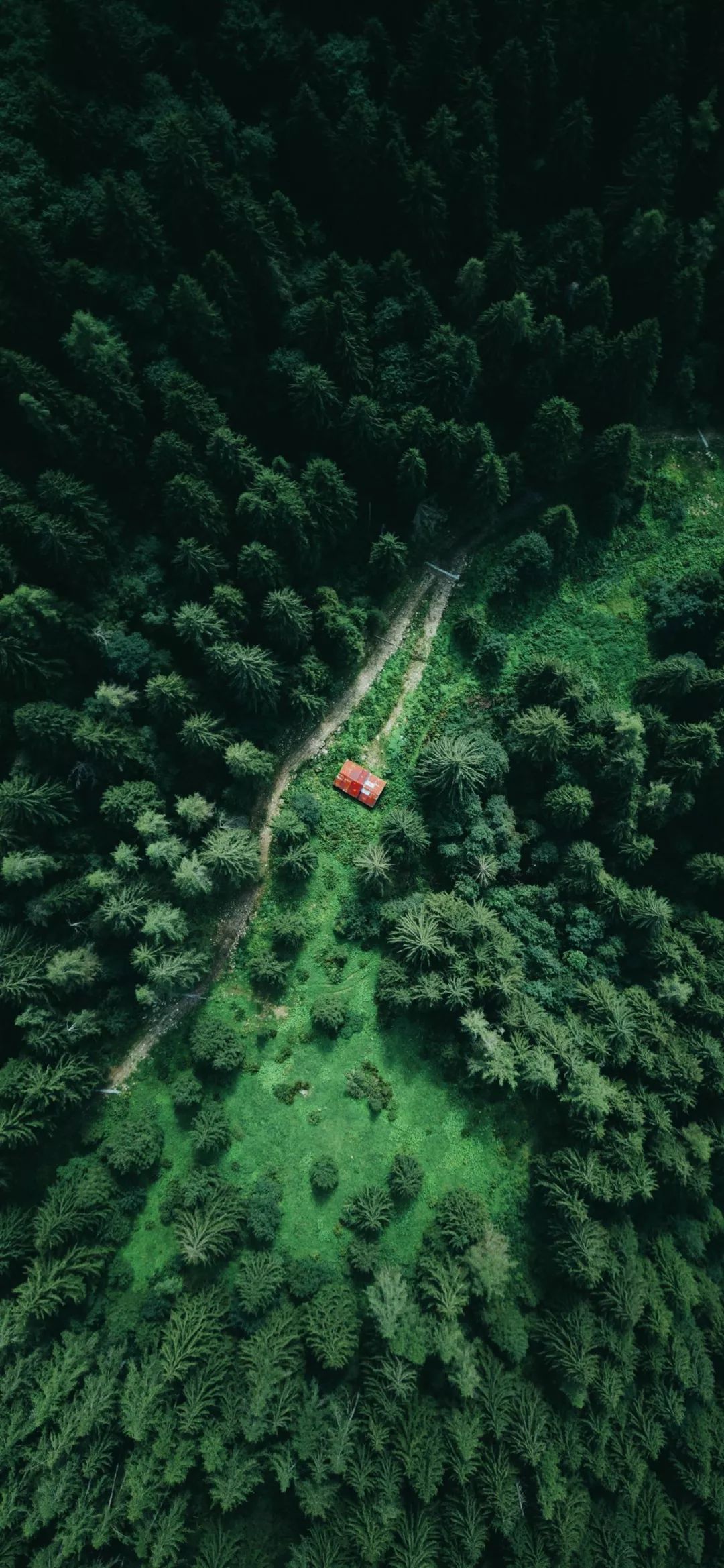 苹果xr原生壁纸图片高清,iphonexr壁纸高清大全