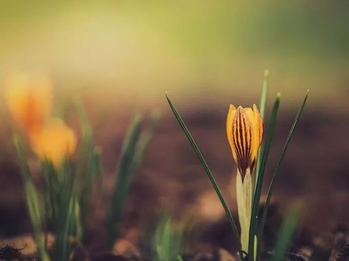 今年最狠的五个段子太幽默了,2019年最狠的五个段子太幽默