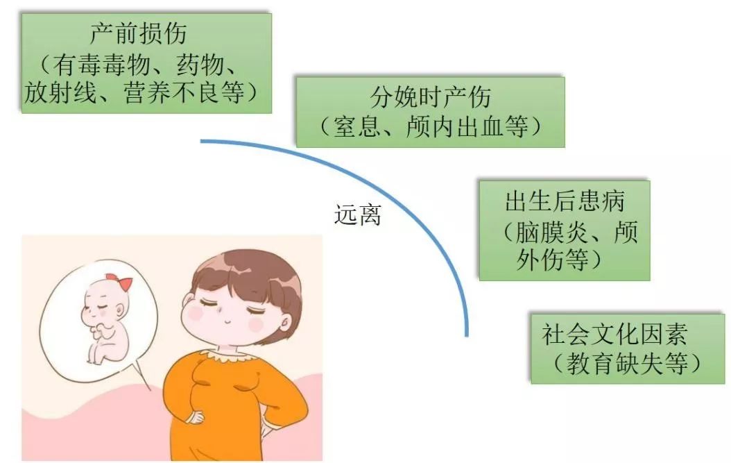 别人家的孩子更聪明?认识智力和智力障碍疾病……