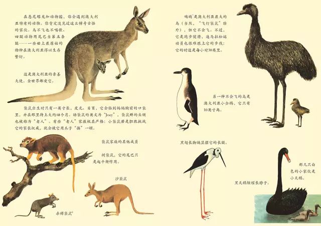 旅行旅游绘本推荐,3-6岁儿童旅游绘本推荐