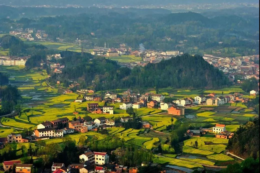 汉中最美油菜花节开幕,汉中油菜花节开幕式视频2020