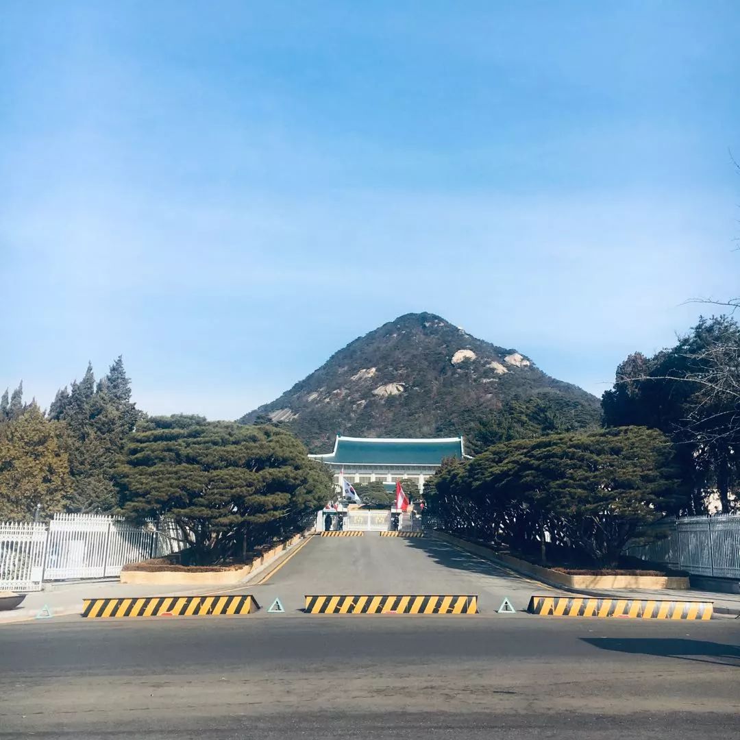 韩国购物值得买的吃的,去韩国必买什么吃的