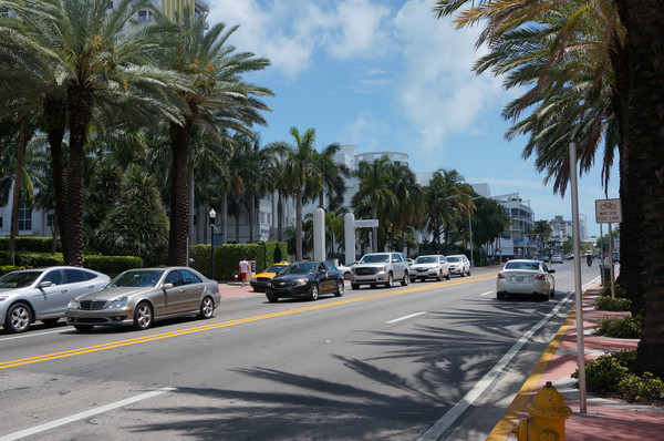 老人旅行欧洲,12位老人游上海