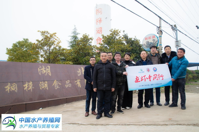 中国小龙虾第一县年产小龙虾突破13万吨！占天时地利人和，“中国虾仓”能否续写辉煌