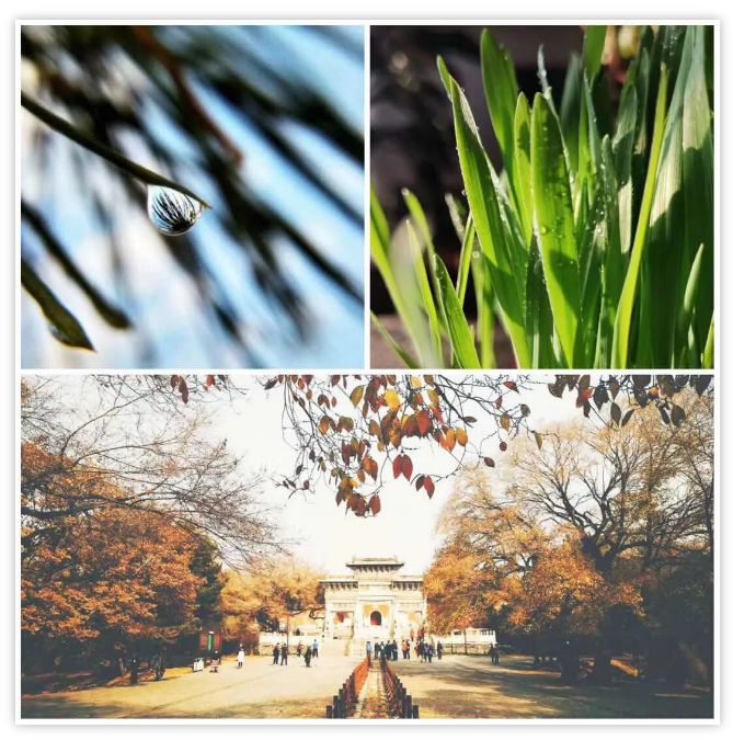 用一本书怎么才能拍出好看的照片,用一本书拍出好看的照片