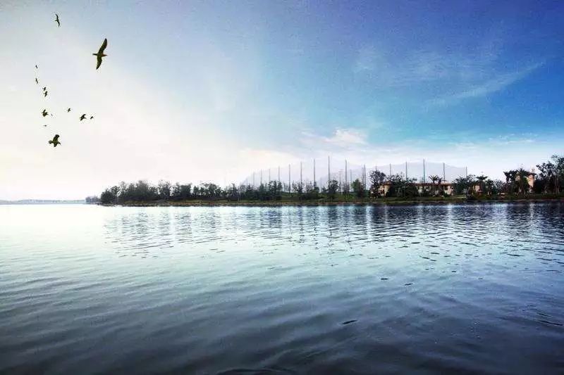 武汉六大湿地公园,百湖之市武汉