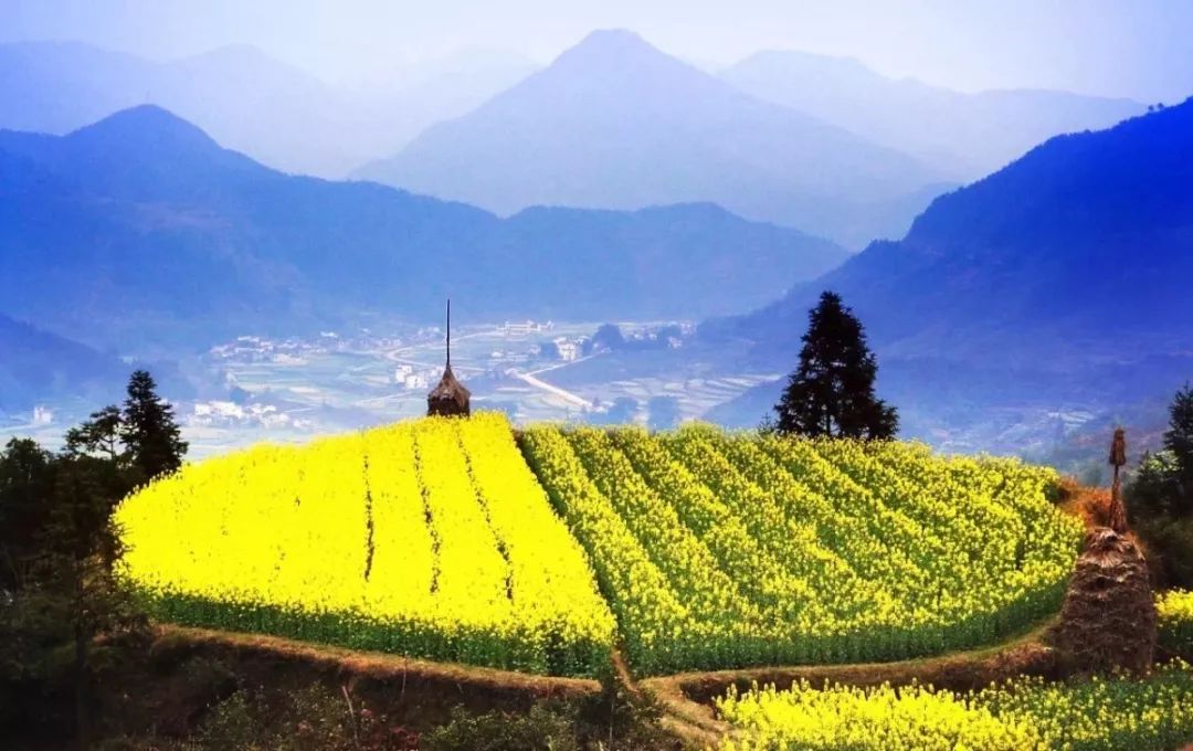 江西婺源写生基地一览花海酒店,来婺源住哪里好