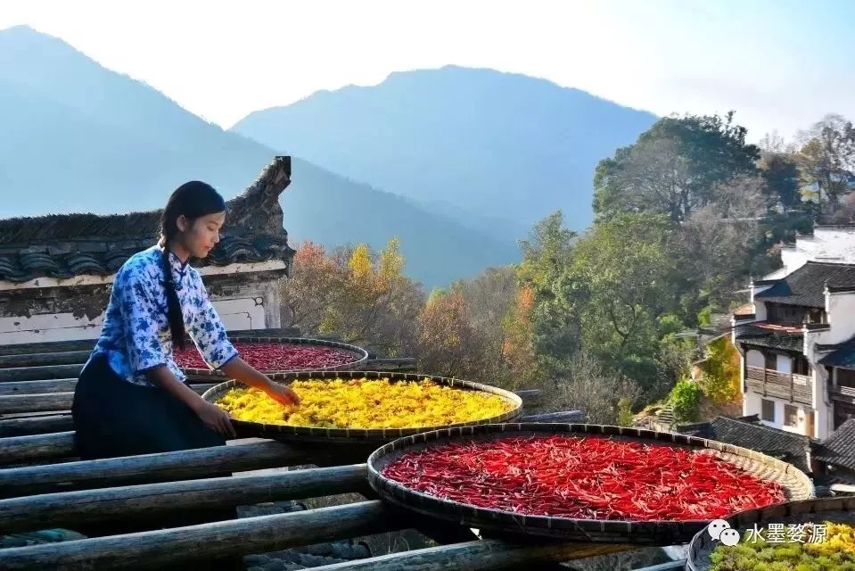 江西婺源写生基地一览花海酒店,来婺源住哪里好