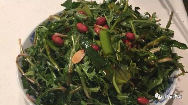 春天吃什么野菜补血最快,春天吃什么野菜下火最多