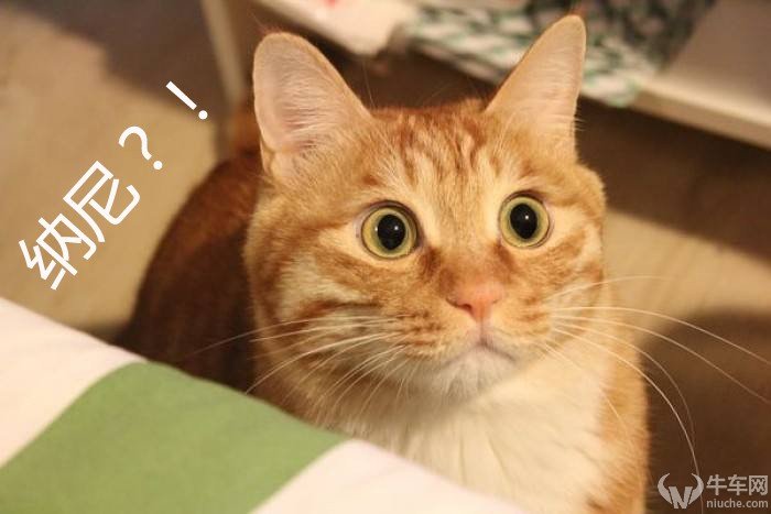 奥迪s3原车机盖隔音棉,奥迪s3隔音棉