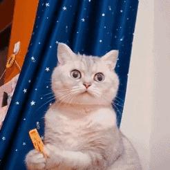 饭否精选｜那是我躲藏的地方