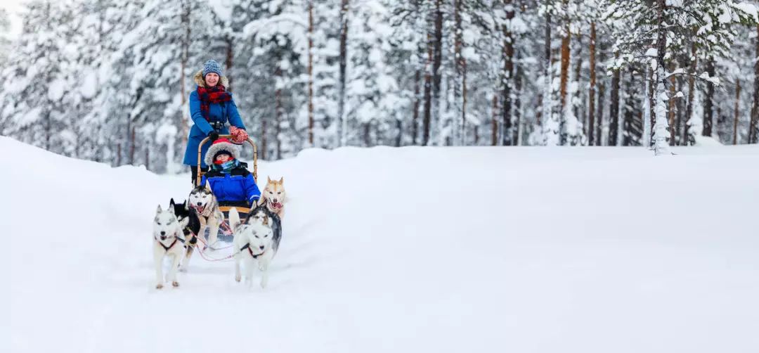 生活在这里的狗子，上辈子一定拯救过银河系｜芬兰制造Part2