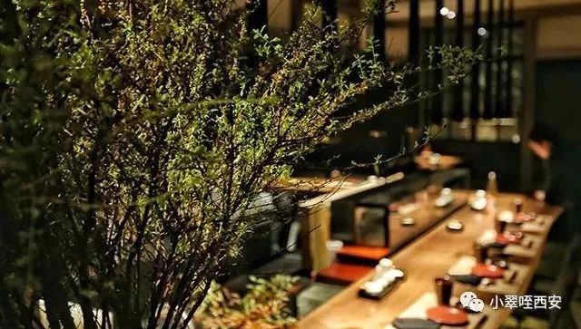 初春的西影厂，是那棵法国梧桐树下的日料店