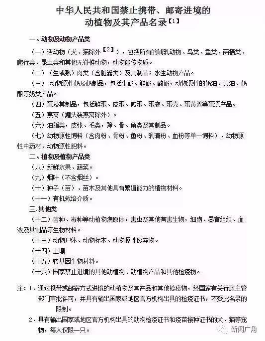 去香港超过一天时间罚多少钱,去香港要注意什么避免罚款