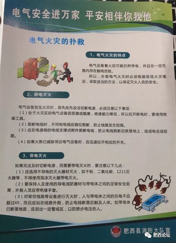 鑲ヨタ鍙ゅ焸鍏洯,鍙ゅ焸鍏洯
