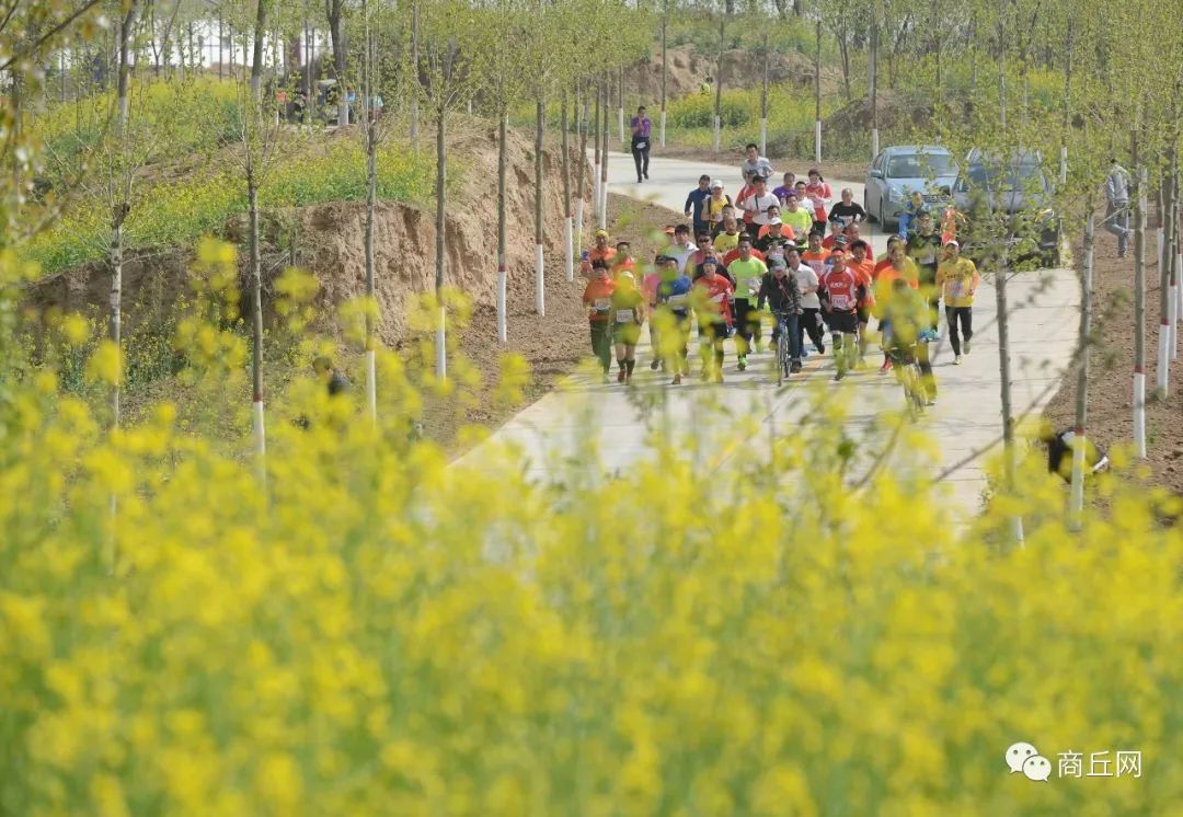 “懂菜农业”杯第七届黄河故道湿地花海徒步穿越路标已布置完成，快来认识一下！
