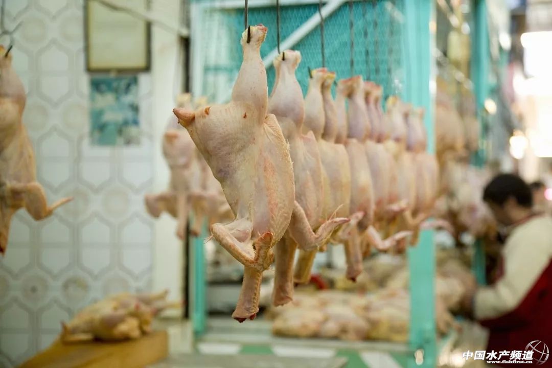 湛江最实惠的海鲜街,湛江草潭镇海鲜攻略