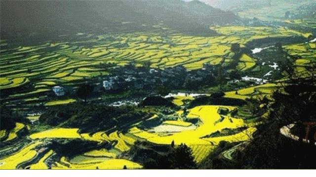 春季养生清肝食物大全图片,春天清肝火明目的食物