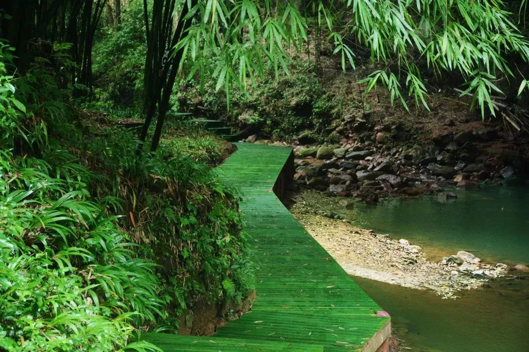 川西竹海玻璃栈道,川西竹海峡谷高空玻璃栈道