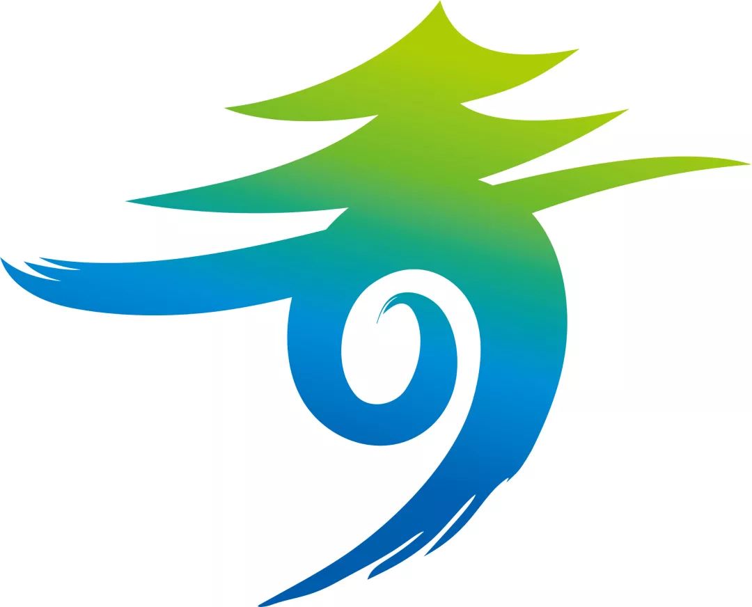 群龙聚首贺新春,青秀区国际传统舞龙邀请赛