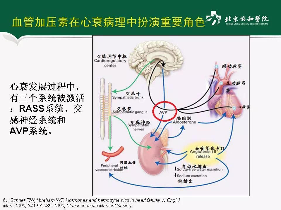 方理刚医生怎么样,心力衰竭诊断与治疗最新进展