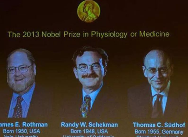 注意力不集中多动影响学习,注意力不集中不听话做什么训练