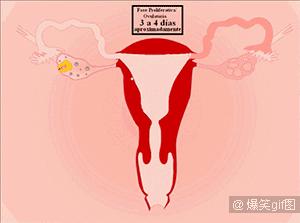 女生没有来大姨妈流血需不需要治,不该来大姨妈却小肚子疼