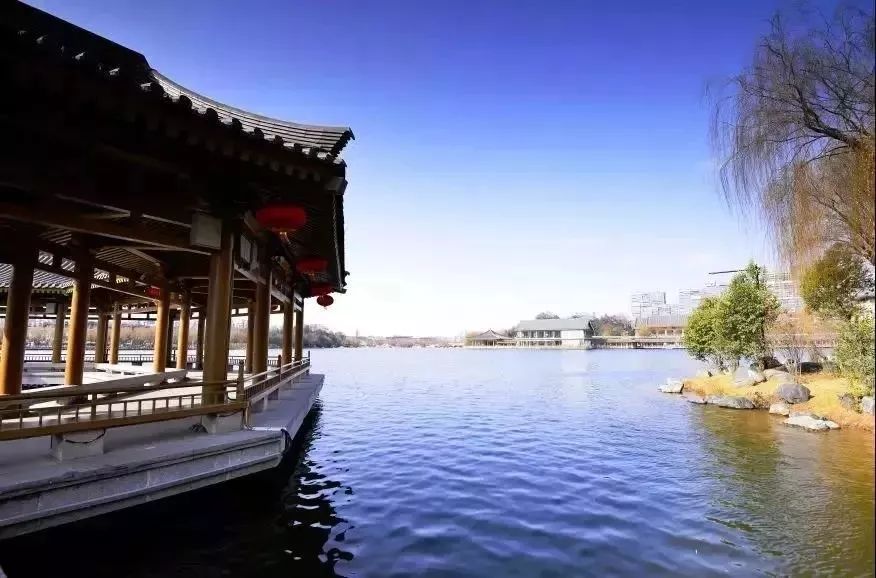 旅游微刊|西安的春天是粉色的！