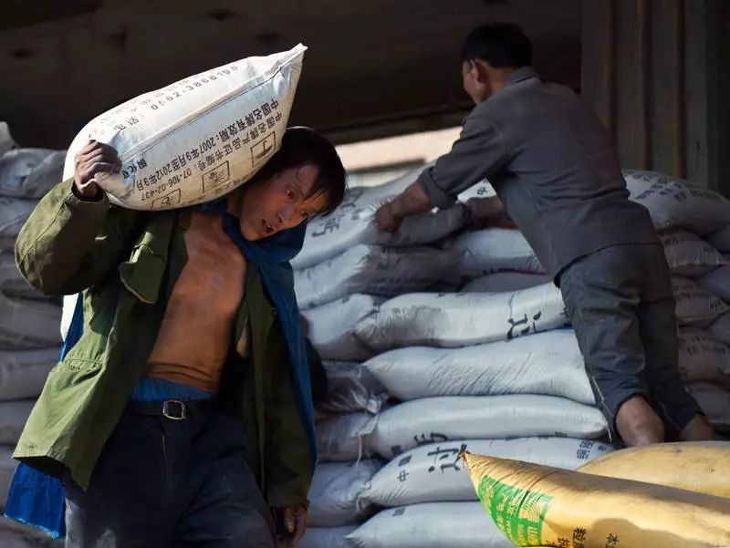 罗拉是最美搬运工吗,香港最美搬运工罗拉结婚没