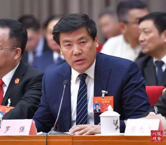 四川代表团开放了吗,四川代表团举行开放团组会议