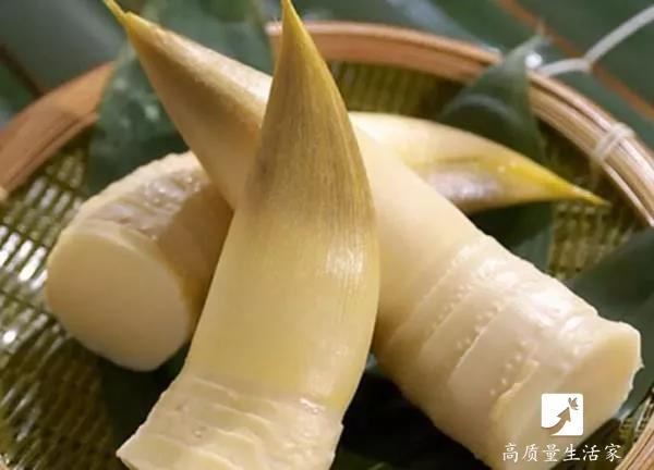 春天里要吃的四大黄金野菜,春天不可辜负的六种野菜