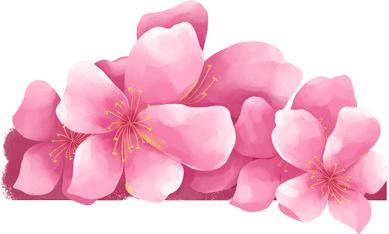 新凤霞反调视频完整版,评剧名家新凤霞反调唱段