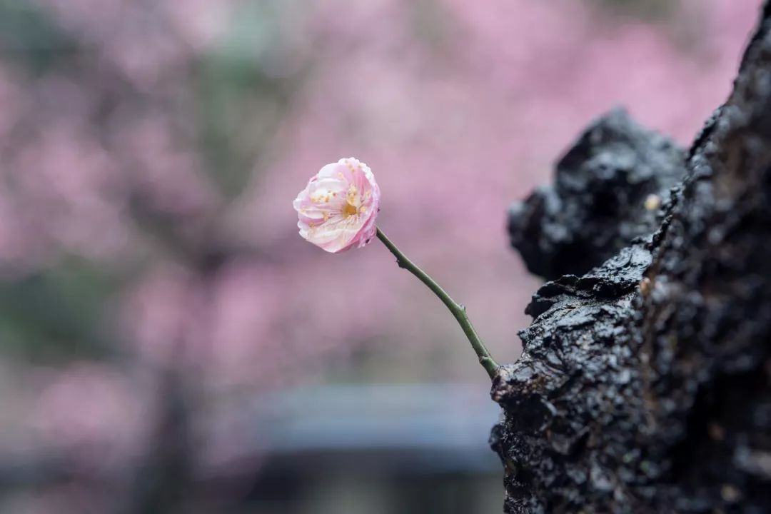 腾讯、联通、新东方都准备来华师“抢人”,本周就业讲座通知汇总,赶紧安排一下!