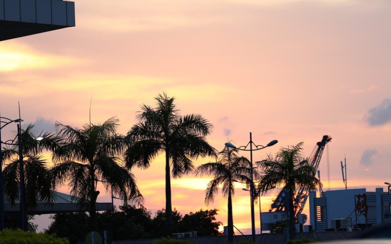 电商法对代购的影响,电商法保护网购消费者权益