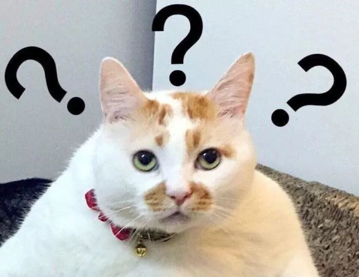 737max停飞事件全过程,737max8坠毁原因最新