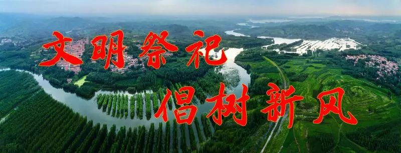 五莲县教育机构,五莲辅导机构哪家好