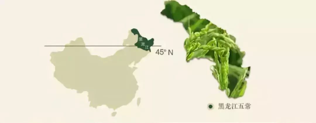 北归候鸟飞回内蒙古,北归候鸟飞回内蒙
