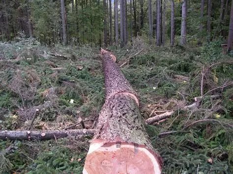 买实木桌子要考虑的问题,有没有必要买实木桌子
